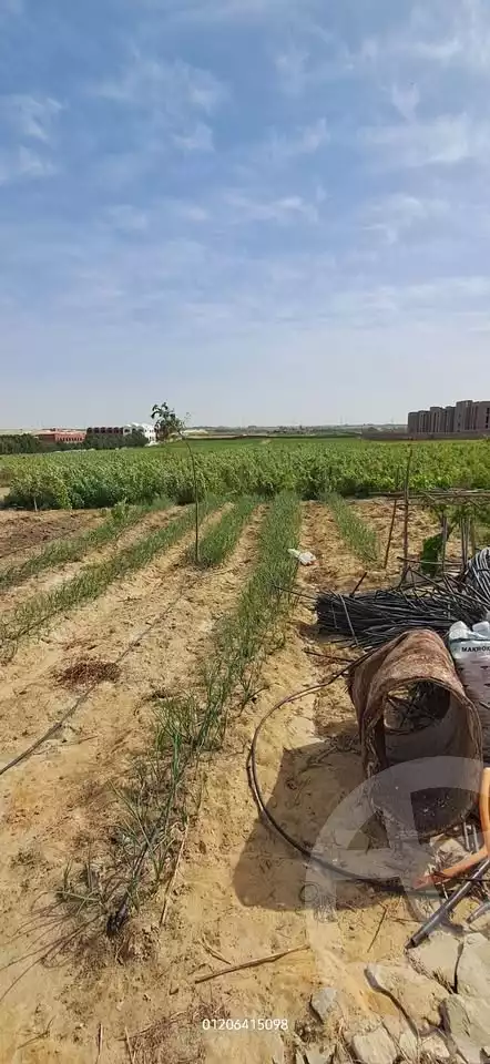 https://aqarmap.com.eg/en/listing/5926635-for-sale-beheira-wadi-el-natrun