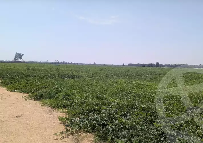 https://aqarmap.com.eg/en/listing/5929661-for-sale-cairo-tryq-skndry-lzr-y