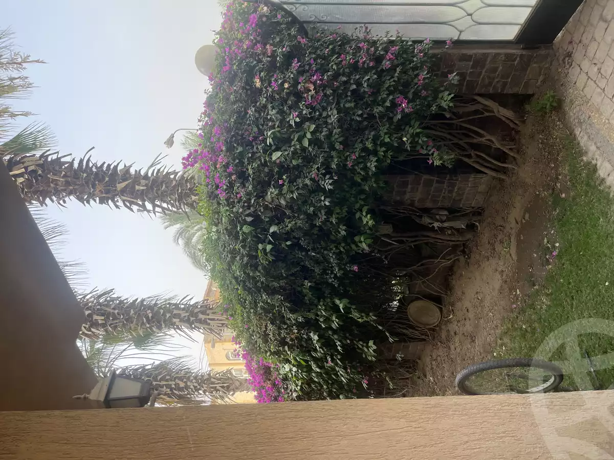 https://aqarmap.com.eg/en/listing/5933546-for-sale-cairo-new-cairo-el-ahyaa-first-neighborhood-no-32