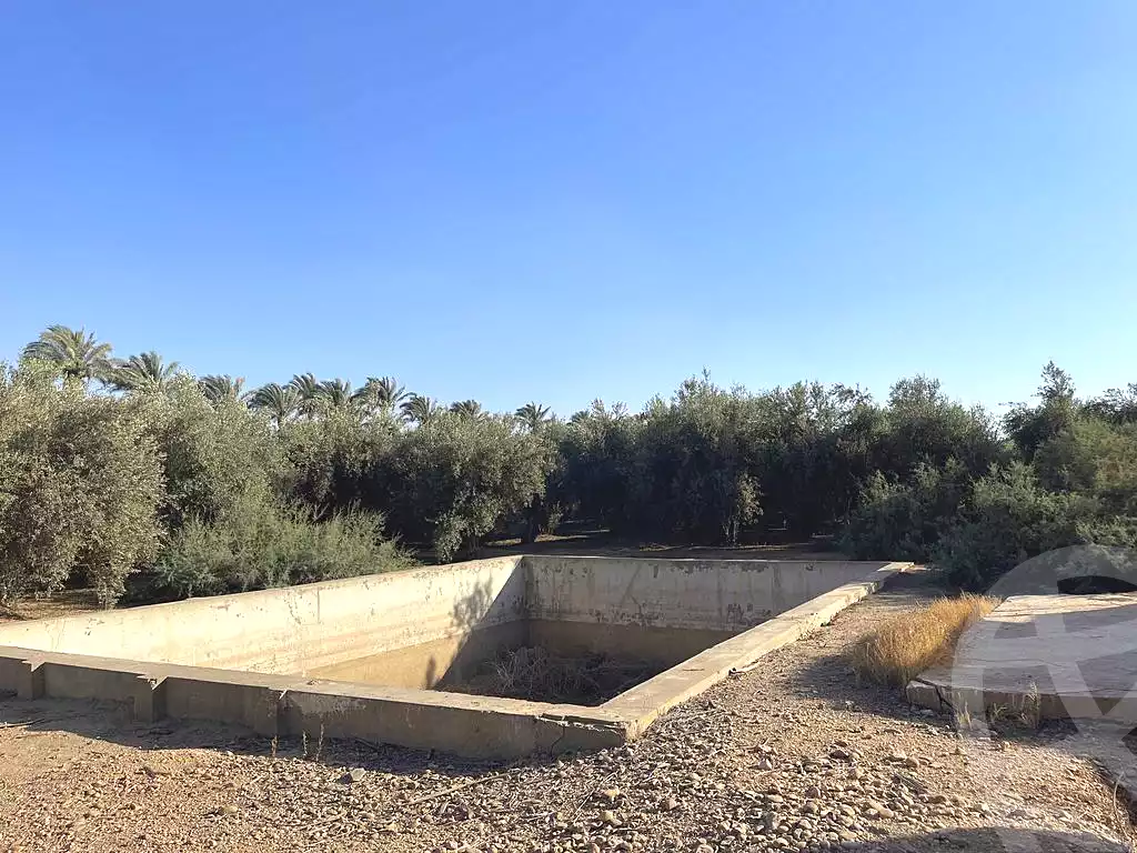 https://aqarmap.com.eg/en/listing/5936437-for-sale-cairo-ljyz