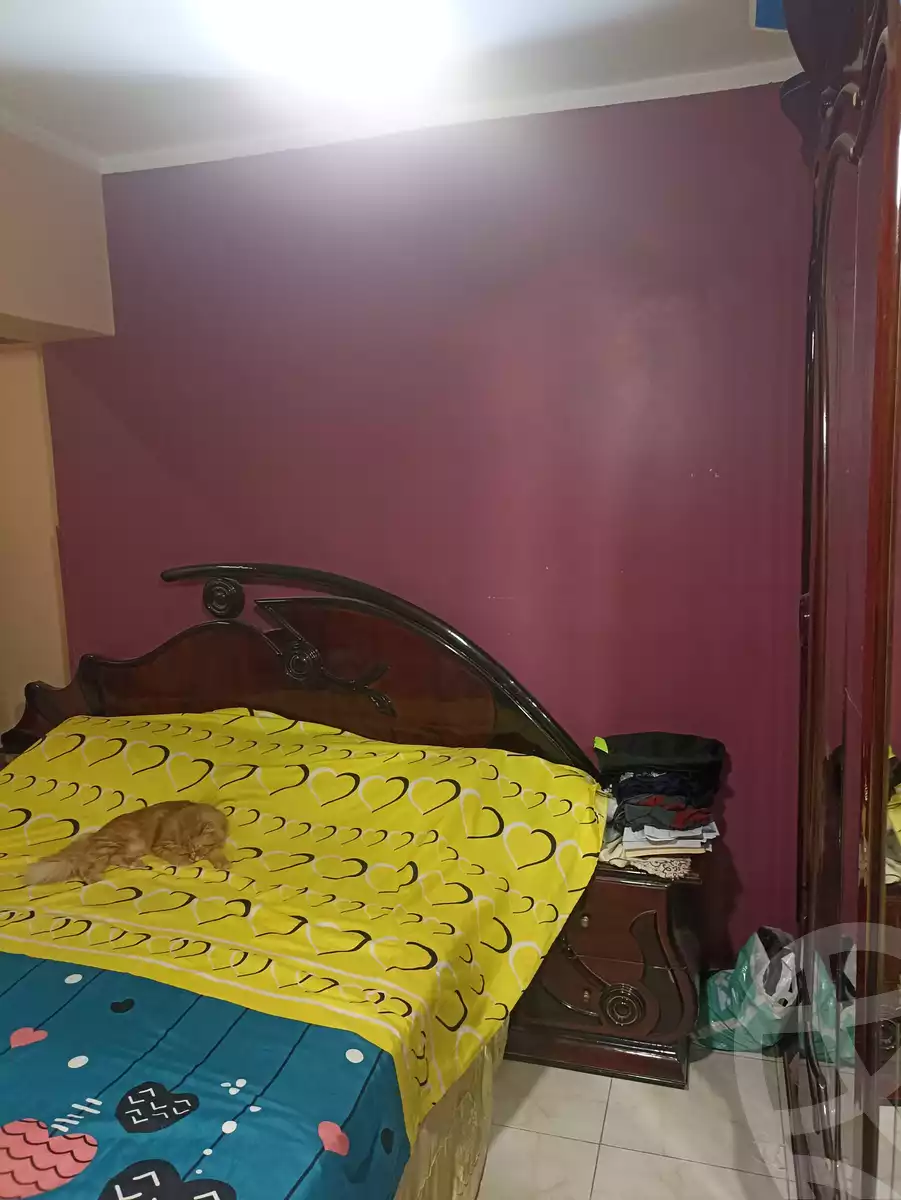 https://aqarmap.com.eg/en/listing/5937265-for-rent-cairo-el-zaytun-hlmy-lzytwn-ibn-el-hakam-sq