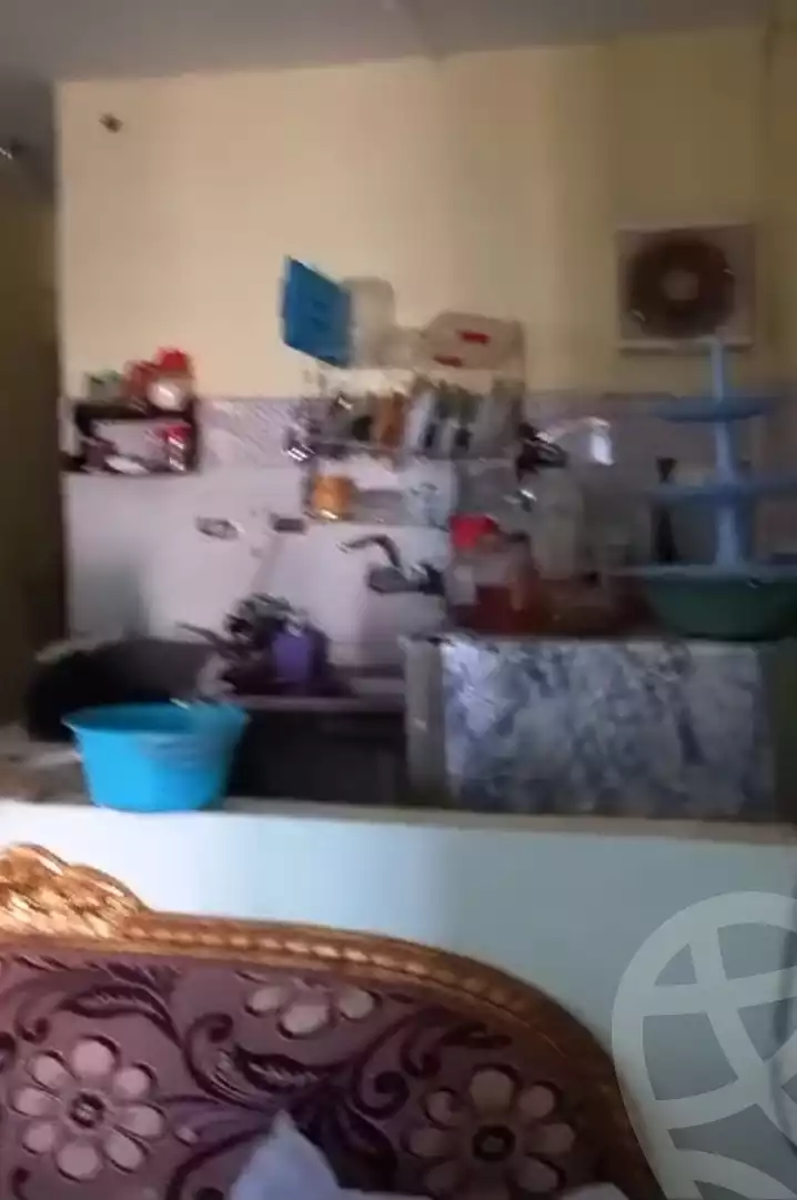 https://aqarmap.com.eg/ar/listing/5937619-for-sale-alexandria-l-jmy-lbytsh-el-hanafeya-st