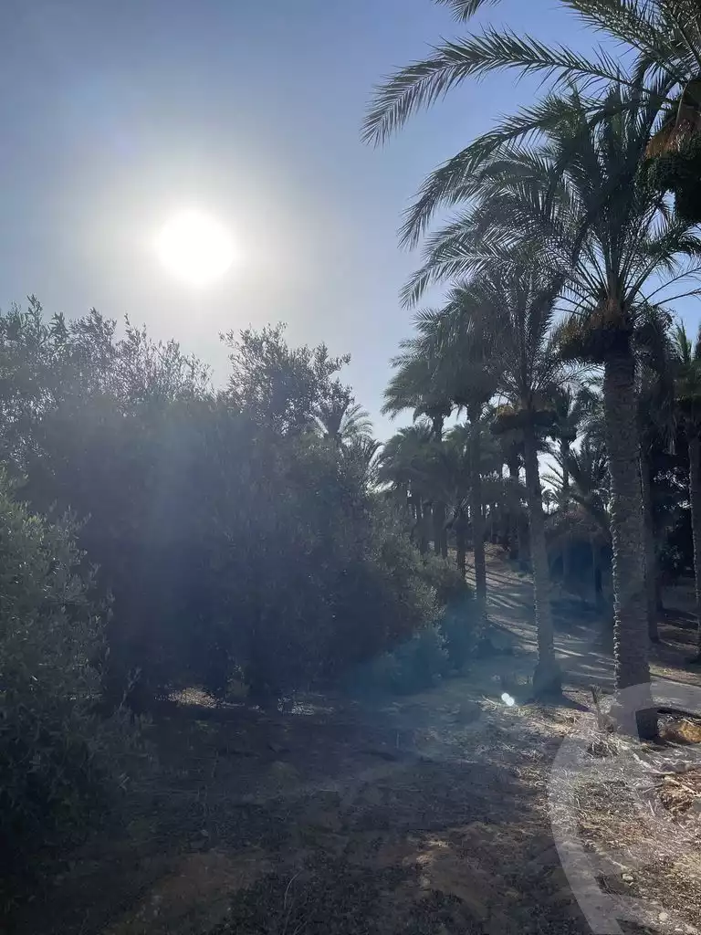 https://aqarmap.com.eg/ar/listing/5937777-for-sale-cairo-el-mansuriyyah-el-saliba