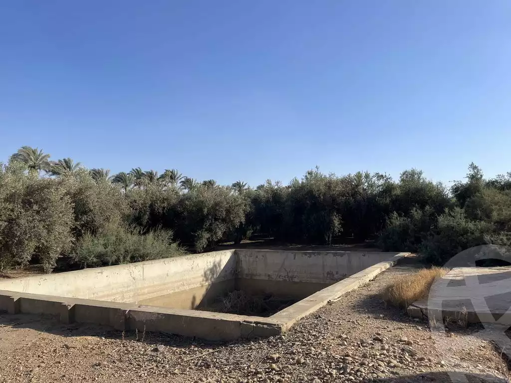 https://aqarmap.com.eg/ar/listing/5937878-for-sale-cairo-el-mansuriyyah-el-saliba