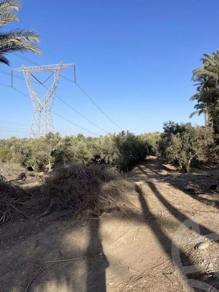 https://aqarmap.com.eg/ar/listing/5938003-for-sale-cairo-el-mansuriyyah-el-saliba
