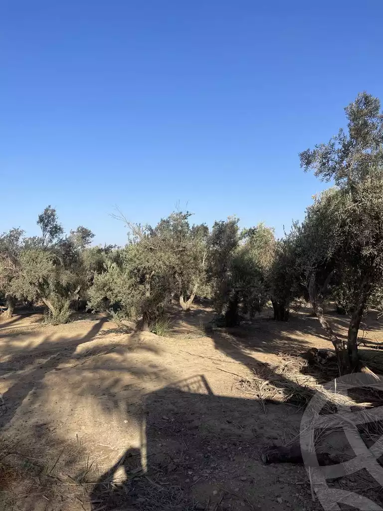 https://aqarmap.com.eg/en/listing/5938214-for-sale-cairo-el-mansuriyyah-el-saliba