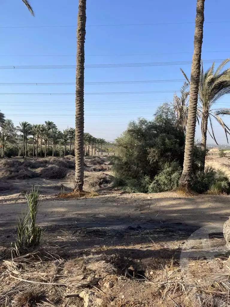 https://aqarmap.com.eg/en/listing/5938261-for-sale-cairo-el-mansuriyyah-el-saliba
