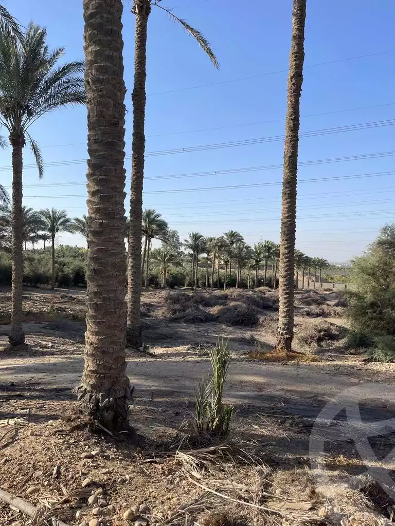 https://aqarmap.com.eg/en/listing/5938662-for-sale-cairo-ljyz