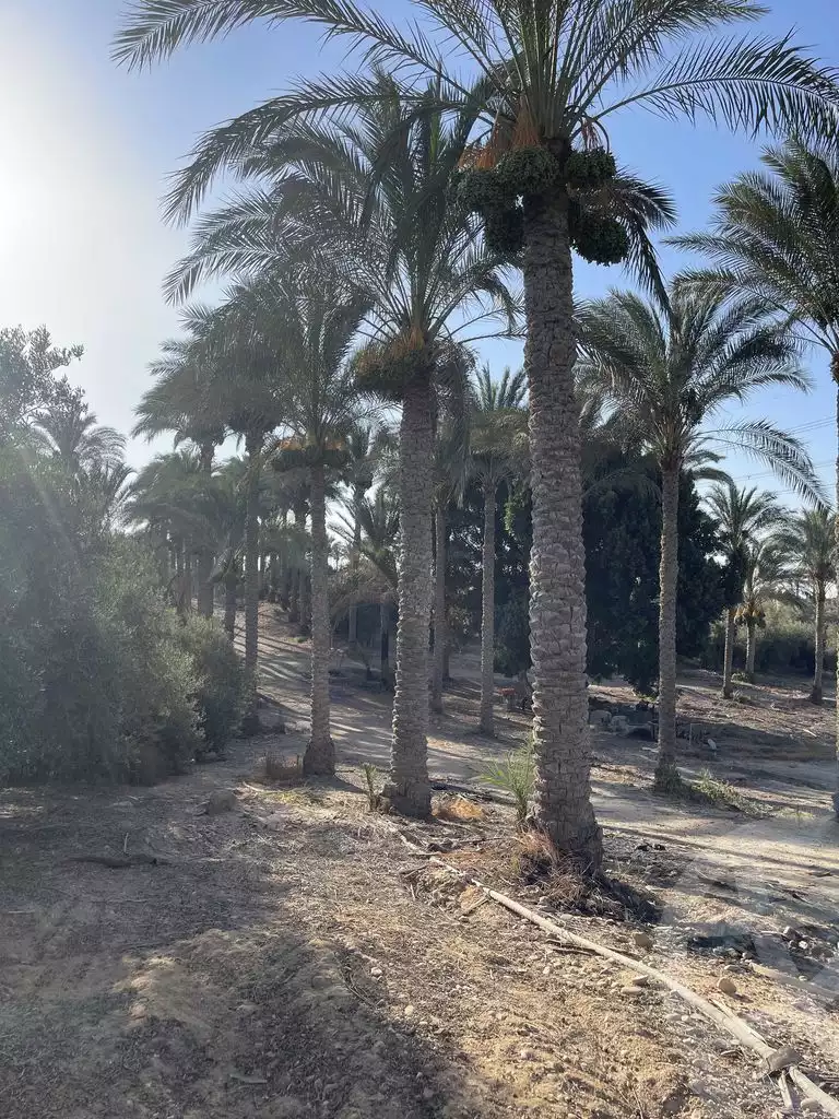 https://aqarmap.com.eg/en/listing/5938662-for-sale-cairo-ljyz