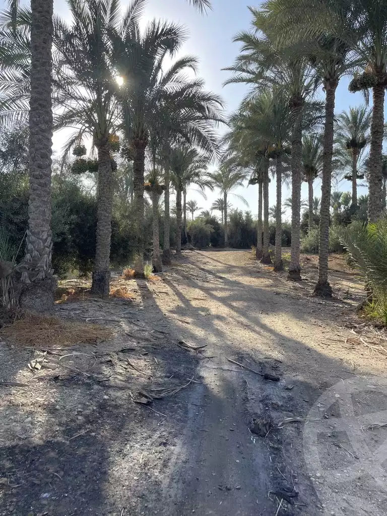 https://aqarmap.com.eg/en/listing/5938761-for-sale-cairo-ljyz