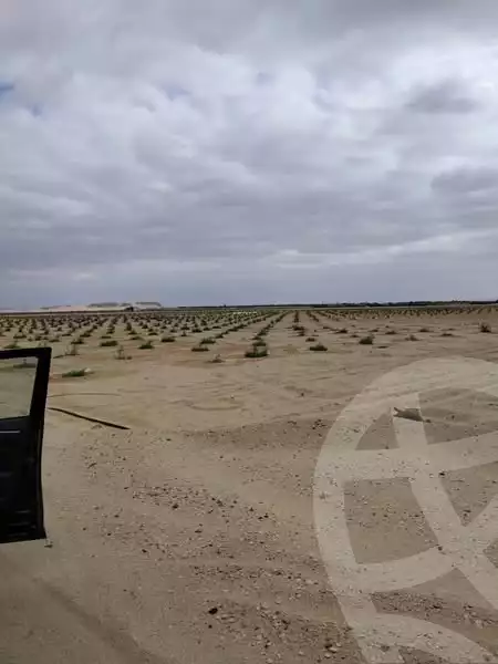 https://aqarmap.com.eg/en/listing/5938834-for-sale-el-fayoum-yousef-el-sedeeq-wady-el-rayan