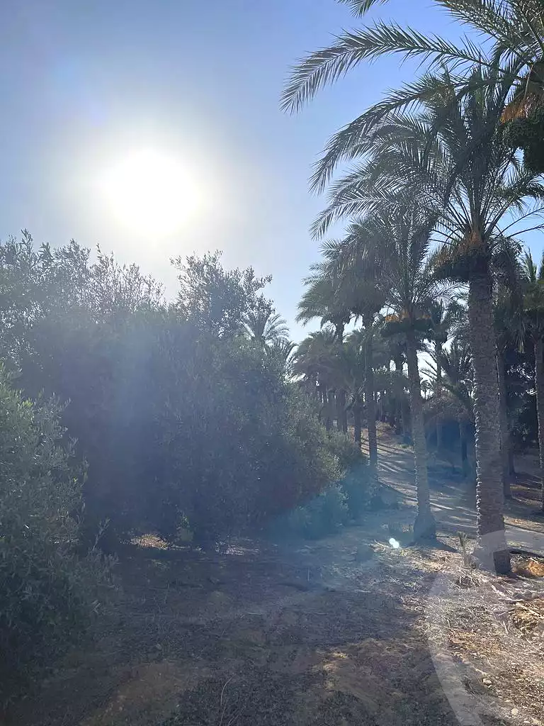 https://aqarmap.com.eg/ar/listing/5938907-for-sale-cairo-ljyz