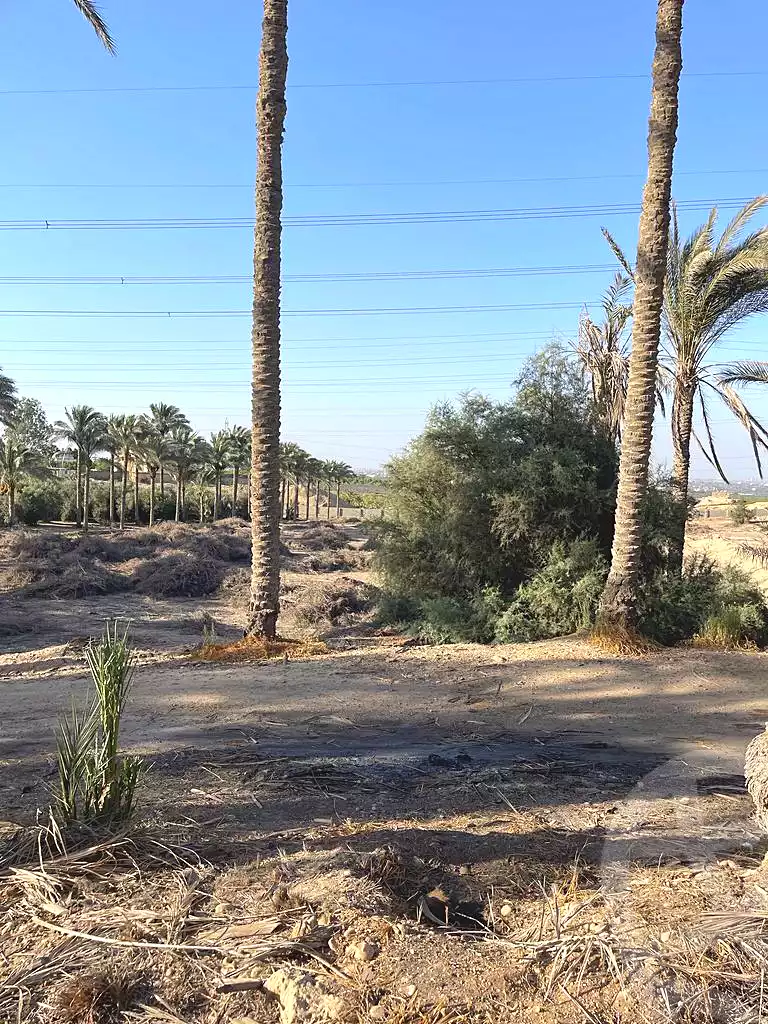 https://aqarmap.com.eg/ar/listing/5938907-for-sale-cairo-ljyz