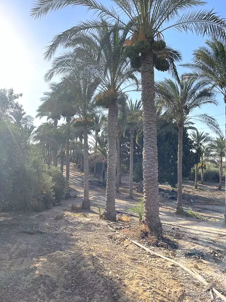 https://aqarmap.com.eg/ar/listing/5938928-for-sale-cairo-ljyz