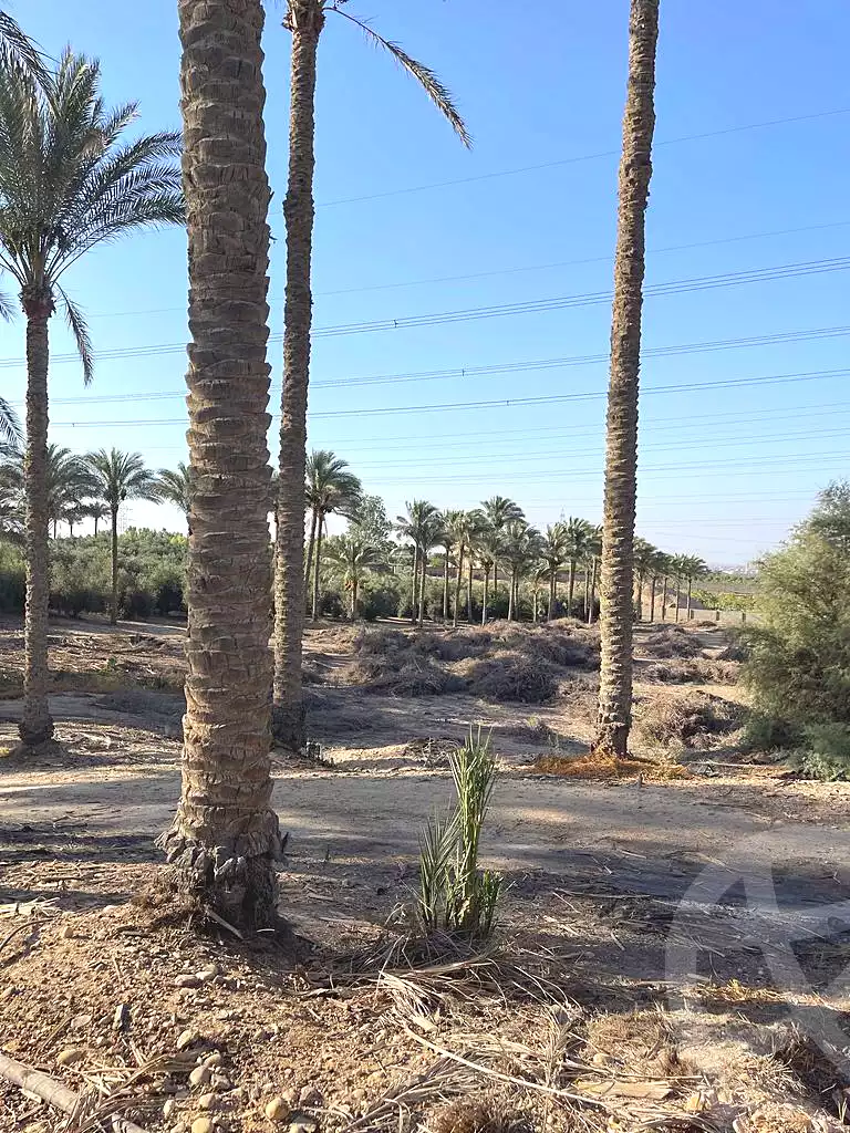 https://aqarmap.com.eg/ar/listing/5938928-for-sale-cairo-ljyz