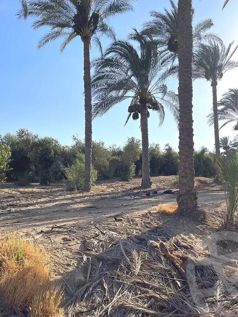 https://aqarmap.com.eg/ar/listing/5938949-for-sale-cairo-ljyz