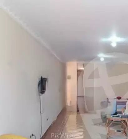 https://aqarmap.com.eg/en/listing/5941722-for-rent-alexandria-ganaklis