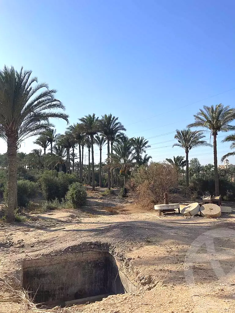 https://aqarmap.com.eg/en/listing/5942179-for-sale-cairo-el-mansuriyyah-el-saliba