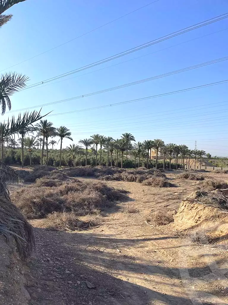 https://aqarmap.com.eg/en/listing/5942179-for-sale-cairo-el-mansuriyyah-el-saliba