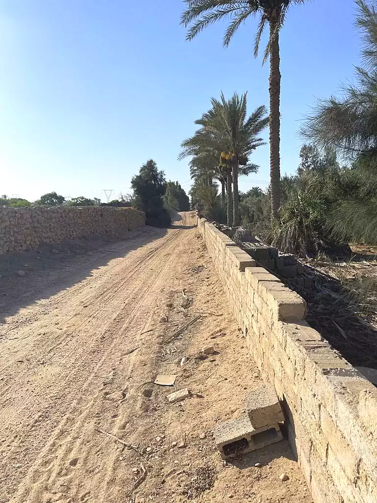 https://aqarmap.com.eg/en/listing/5942179-for-sale-cairo-el-mansuriyyah-el-saliba