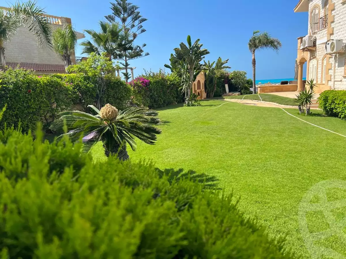 https://aqarmap.com.eg/en/listing/5942446-for-rent-north-coast-resorts-marina-5