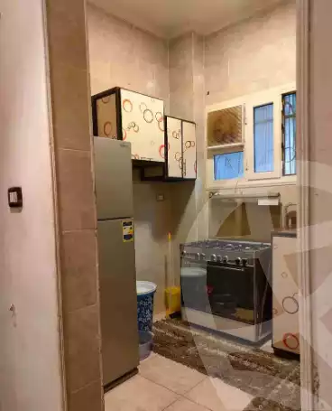 https://aqarmap.com.eg/en/listing/5942538-for-rent-cairo-manial