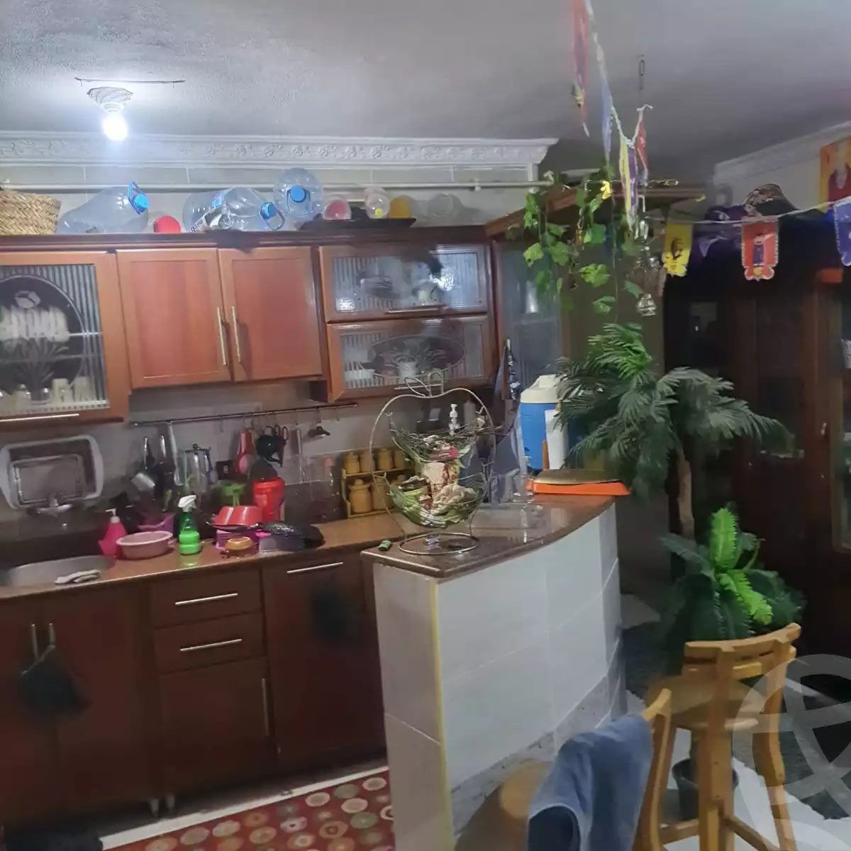 https://aqarmap.com.eg/ar/listing/5943707-for-sale-alexandria-l-jmy-lbytsh-al-samalehy-2-st