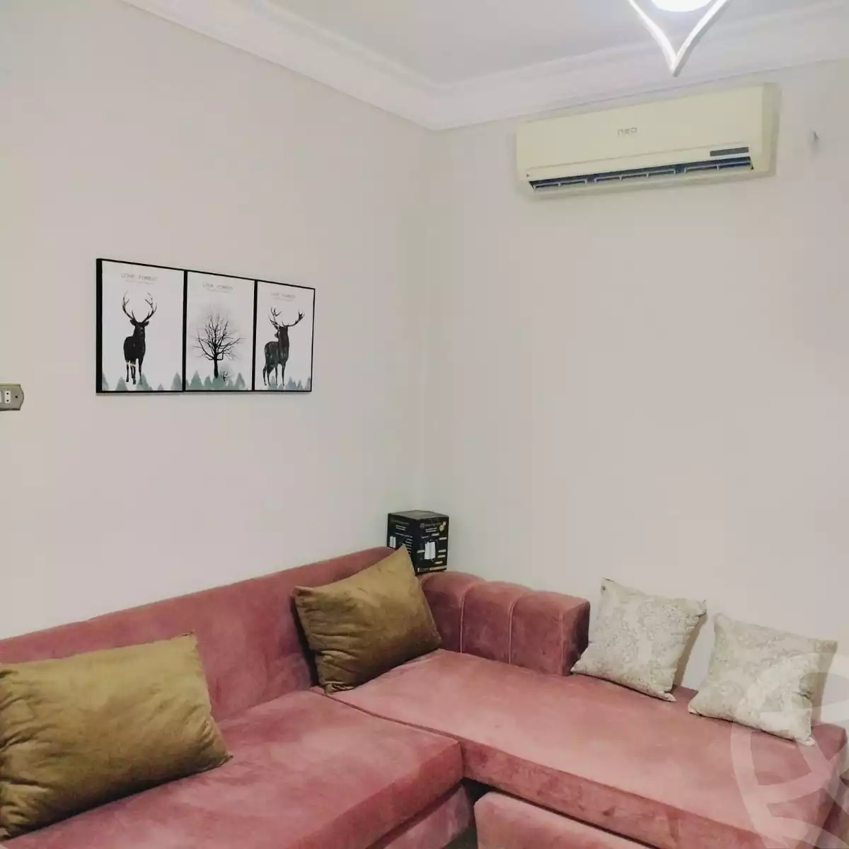 https://aqarmap.com.eg/en/listing/5944370-for-rent-cairo-el-mohandesen-shareaa-ahmed-orabi