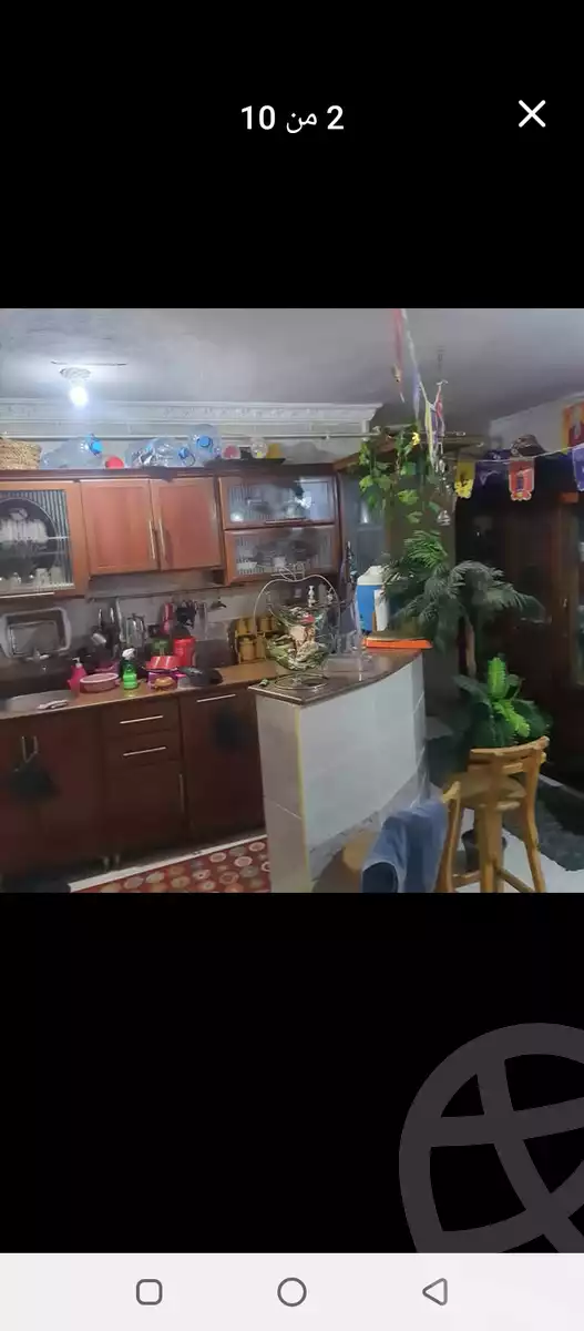 https://aqarmap.com.eg/ar/listing/5944676-for-sale-alexandria-l-jmy-lbytsh-al-samalehy-2-st