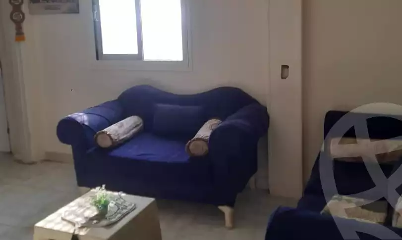 https://aqarmap.com.eg/en/listing/5950533-for-rent-cairo-dokki-msdq