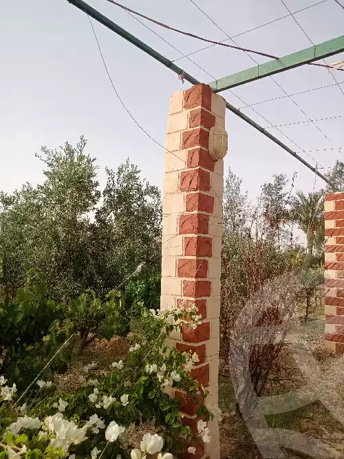 https://aqarmap.com.eg/ar/listing/5953019-for-sale-suez-el-ganain-geneffe
