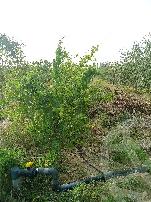 https://aqarmap.com.eg/en/listing/5953035-for-sale-suez-el-ganain-geneffe