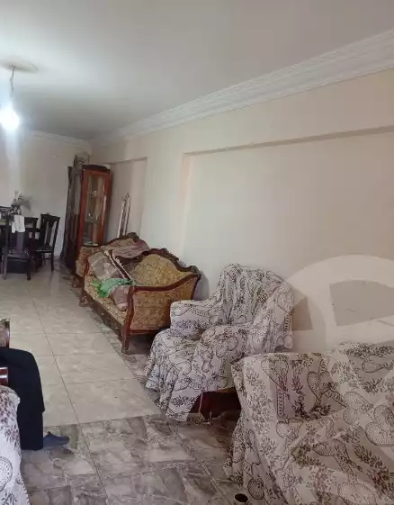 https://aqarmap.com.eg/en/listing/5956549-for-sale-alexandria-ibrahimia-la-jetee-st