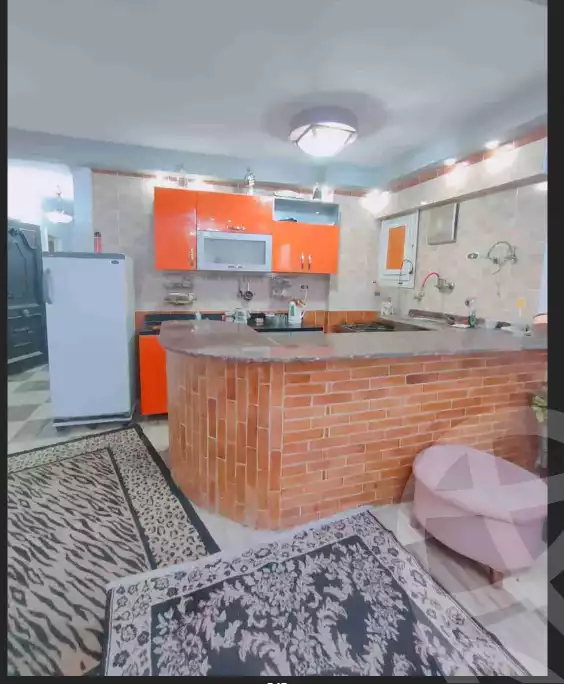 https://aqarmap.com.eg/en/listing/5957386-for-sale-alexandria-l-jmy-shataa-el-nakheel-street-63
