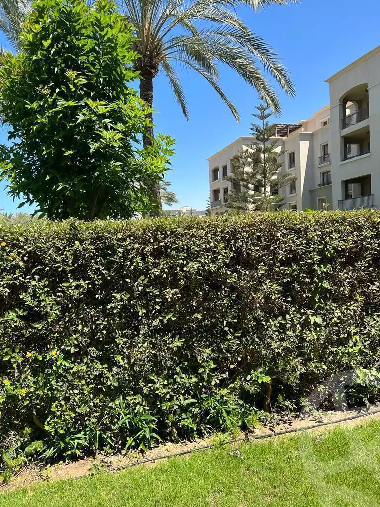 https://aqarmap.com.eg/en/listing/5958505-for-rent-north-coast-resorts-mrsy-catania-marassi