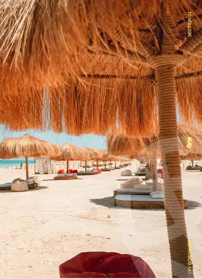 https://aqarmap.com.eg/en/listing/5961061-for-sale-north-coast-resorts-lyv-resort-gates