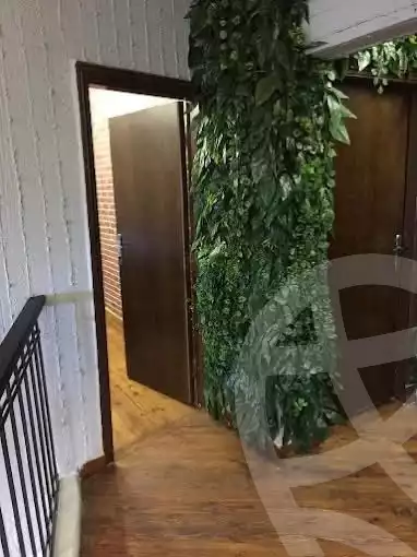 https://aqarmap.com.eg/en/listing/5961929-for-rent-cairo-el-maadi-degla-mydn-djl