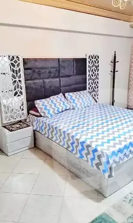 https://aqarmap.com.eg/en/listing/5965638-for-rent-cairo-manial-kwrnysh-lmnyl