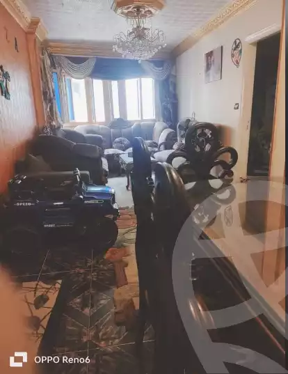https://aqarmap.com.eg/en/listing/5965797-for-sale-alexandria-l-jmy-lbytsh-sabrin-st