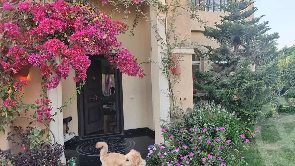 https://aqarmap.com.eg/en/listing/5970665-for-rent-cairo-new-cairo-compounds-stone-park