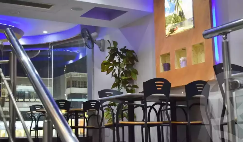 https://aqarmap.com.eg/en/listing/5978549-for-rent-cairo-nasr-city