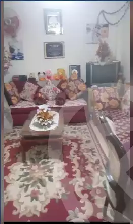 https://aqarmap.com.eg/ar/listing/5979321-for-sale-alexandria-l-jmy-bw-ywsf