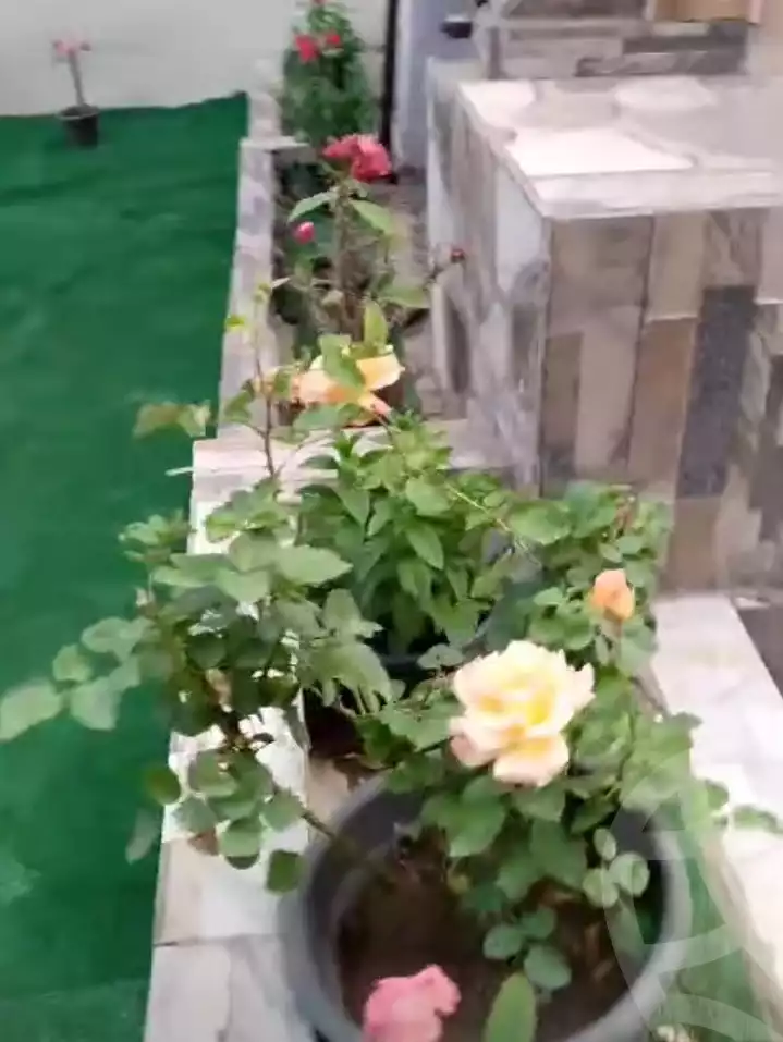 https://aqarmap.com.eg/en/listing/5980117-for-sale-cairo-faisal-el-taweaan