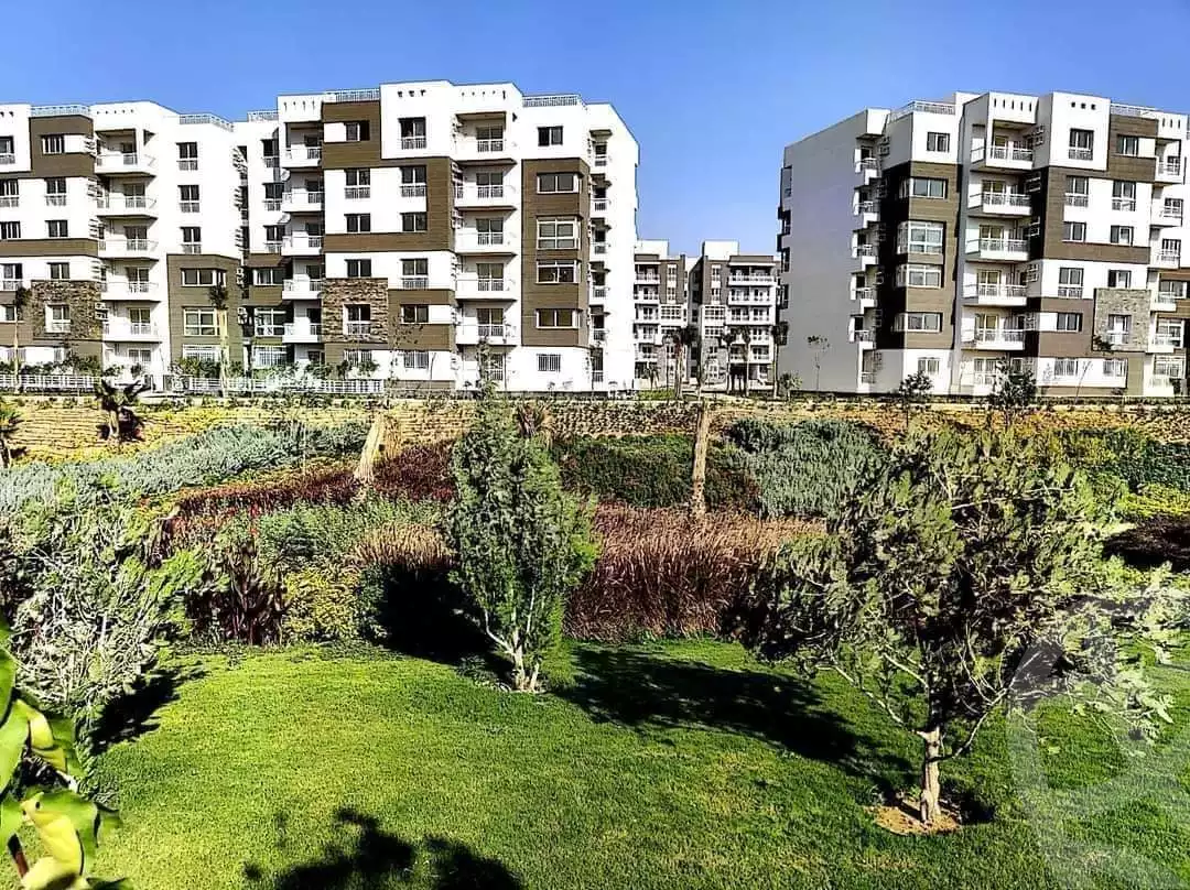 https://aqarmap.com.eg/ar/listing/5982623-for-sale-cairo-new-cairo-madinaty-fourteenth-zone-buildings-fourteenth-zone-buildings