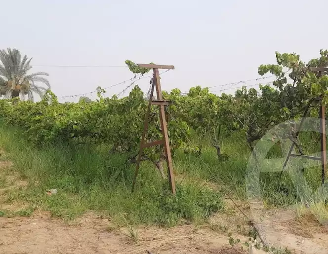 https://aqarmap.com.eg/en/listing/5982931-for-sale-beni-suef-el-wasta