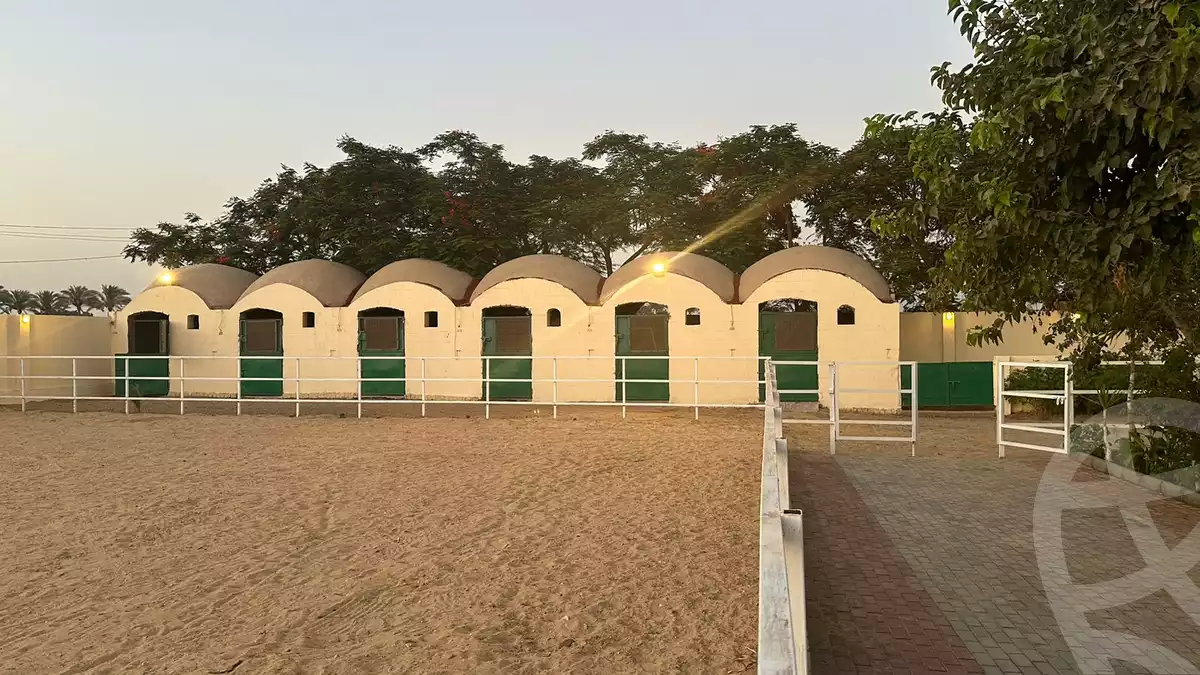 https://aqarmap.com.eg/en/listing/5983028-for-sale-cairo-el-mansuriyyah