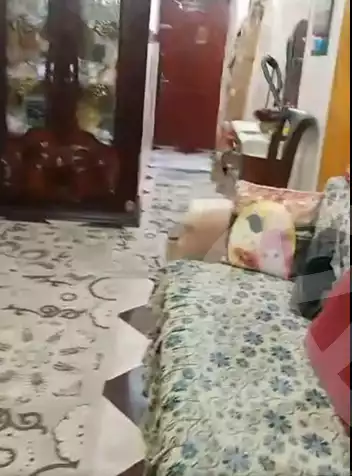 https://aqarmap.com.eg/ar/listing/5992800-for-sale-alexandria-l-jmy-faddah-st
