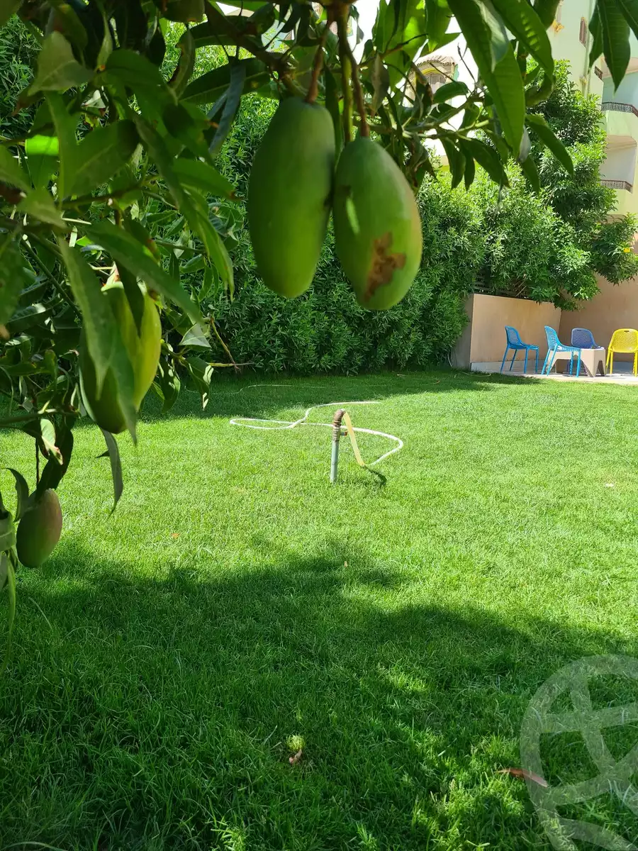 https://aqarmap.com.eg/en/listing/5993413-for-sale-cairo-new-cairo-el-ahyaa-fourth-neighborhood-street-12