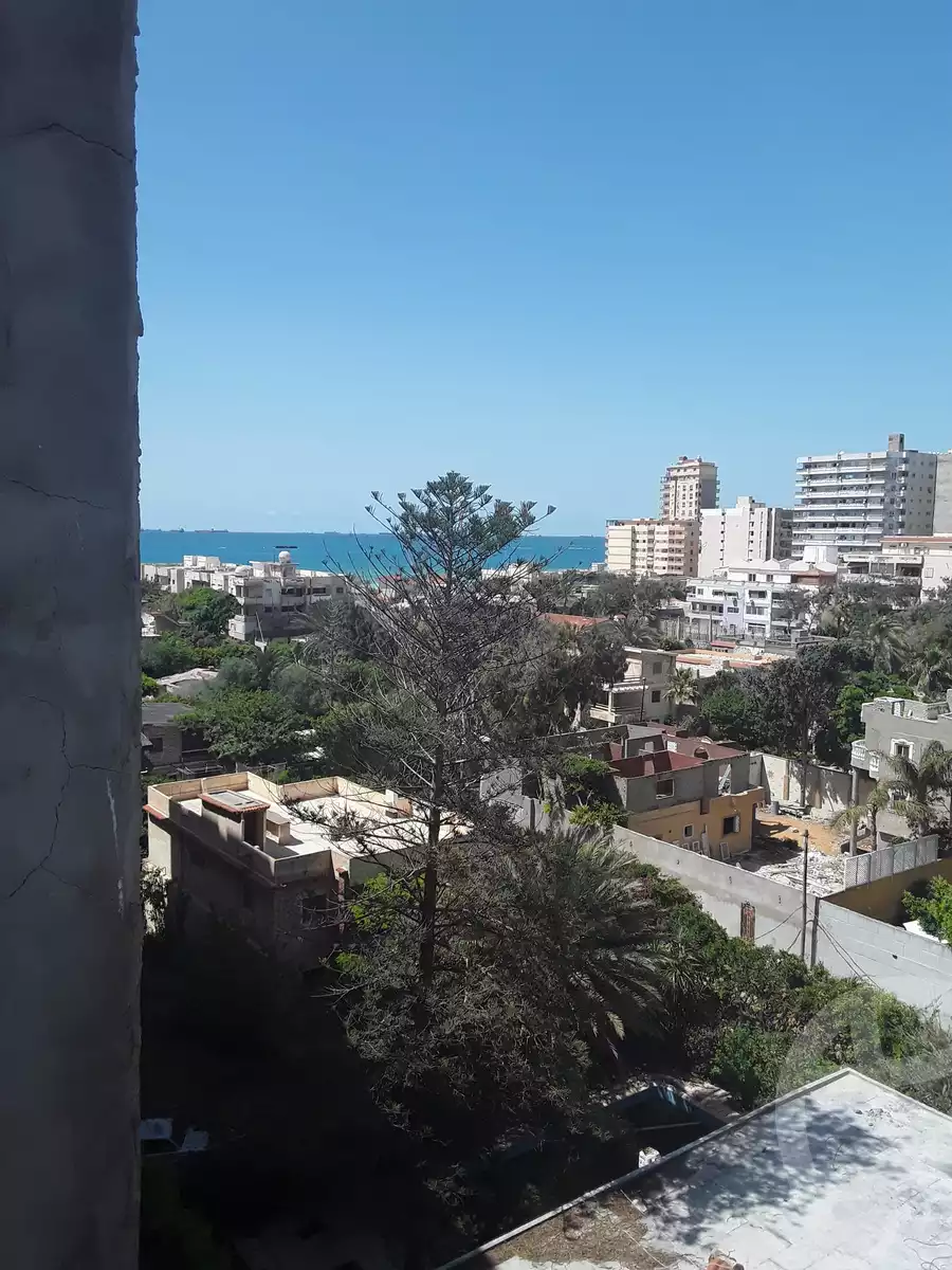 https://aqarmap.com.eg/en/listing/5995412-for-sale-alexandria-l-jmy-lbytsh-bianchiii