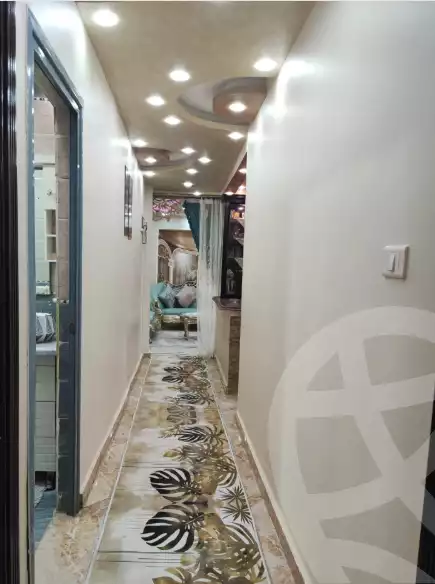 https://aqarmap.com.eg/en/listing/5996490-for-sale-alexandria-l-jmy-bw-ywsf